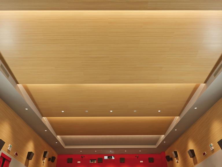 Soft Top Ceilings