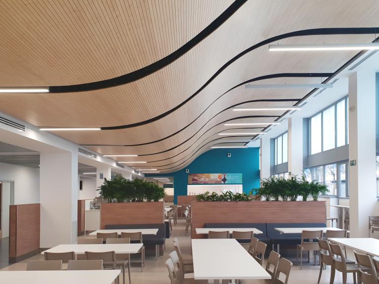 Progetti Controsoffitti e Rivestimenti Acustici