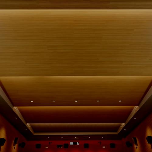 Soft Top Ceilings