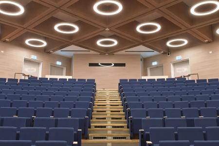 Rivestimento a soffitto per auditorium