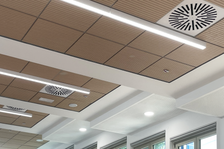 Soft Top Exposed Ceilings