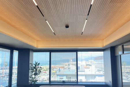 Soft Top Ceilings