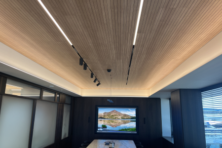 Soft Top Ceilings