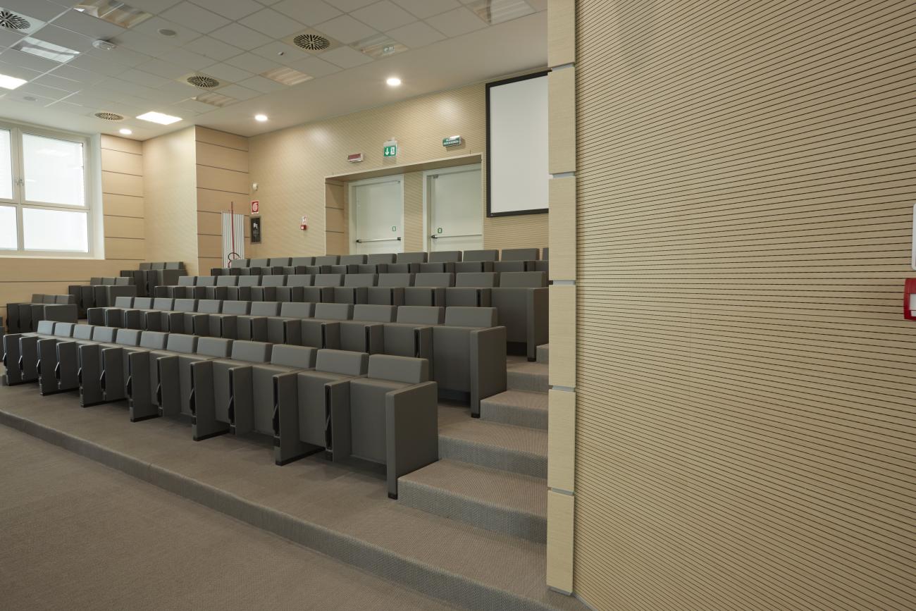 Rivestimenti  Fonoassorbenti Legno